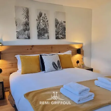 Rive Sud Charming Center 2 Guests *