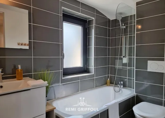 Rive Sud Charming Center 2 Guests 度假居