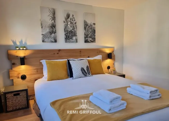 Rive Sud - очаровательный мезонет 2 P - центр города *